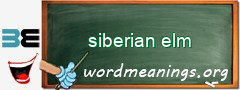 WordMeaning blackboard for siberian elm